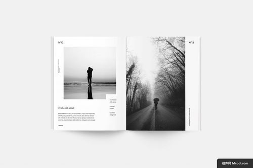 黑白美學(xué) 攝影與平面設(shè)計(jì)在產(chǎn)品畫冊(cè)中的融合藝術(shù)