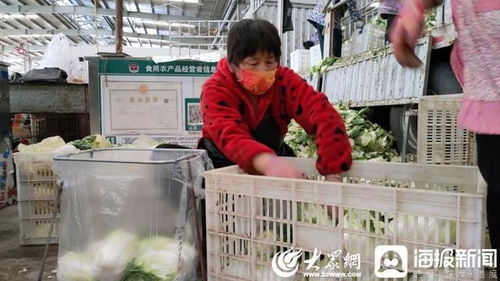 聊城 斷不了菜！記者實(shí)地探訪周公河農(nóng)貿(mào)城，日供蔬菜2000噸，新鮮蔬菜零售無(wú)憂