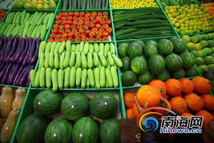 海口啟動平價菜投放計劃 每日200噸保供應穩價格